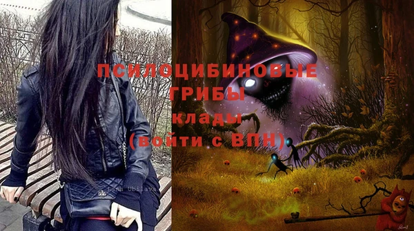 стафф Дмитриев