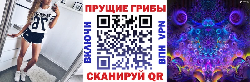даркнет сайт  Малоярославец  Псилоцибиновые грибы мицелий 