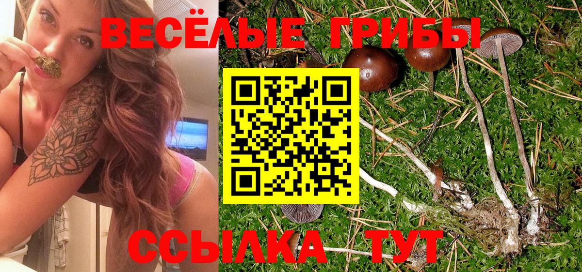 Псилоцибиновые грибы мухоморы Малоярославец